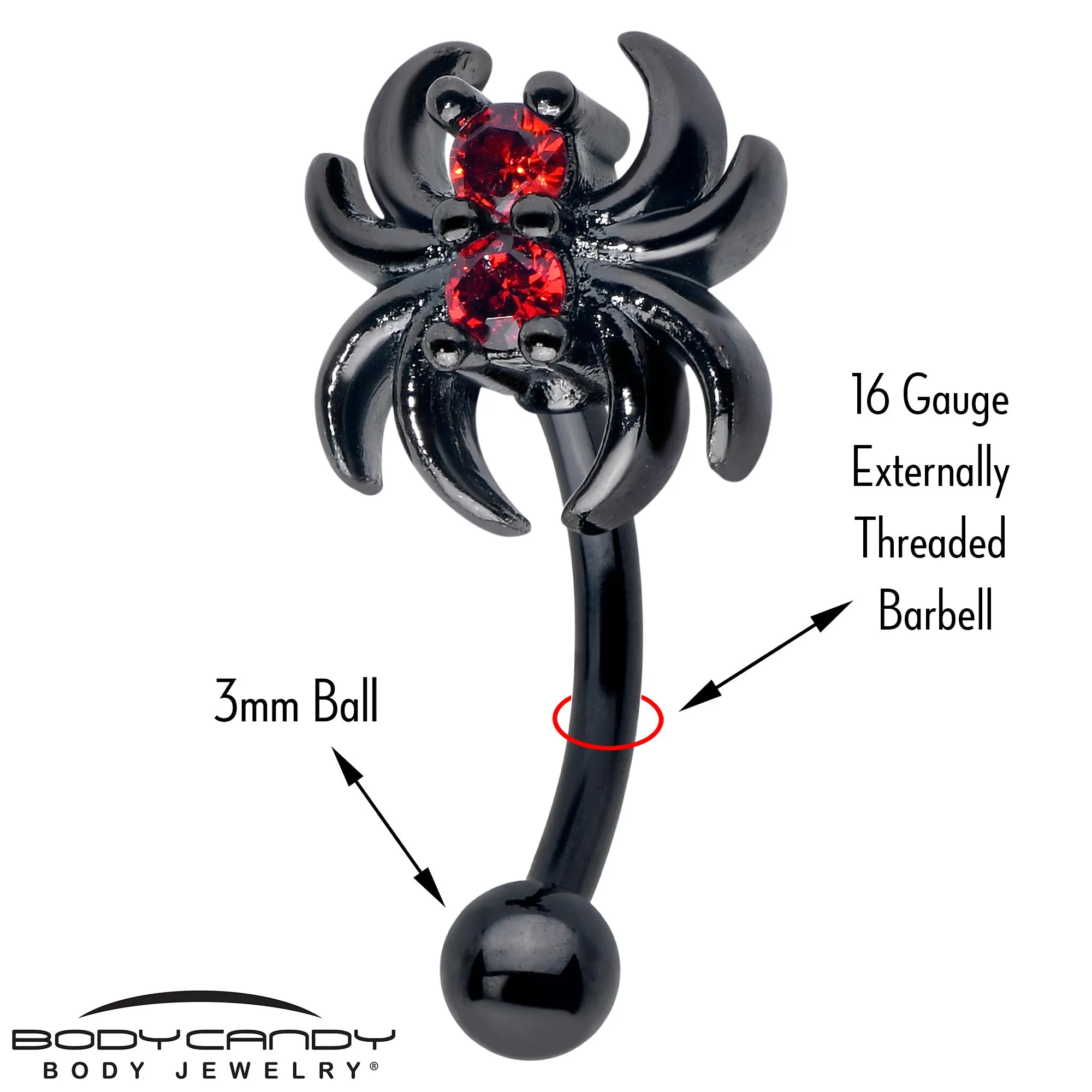 16 Gauge 5/16 Red CZ Gem Black Sleek Spider Curved Eyebrow Ring
