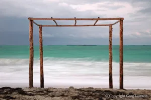 Arbor on the Shore