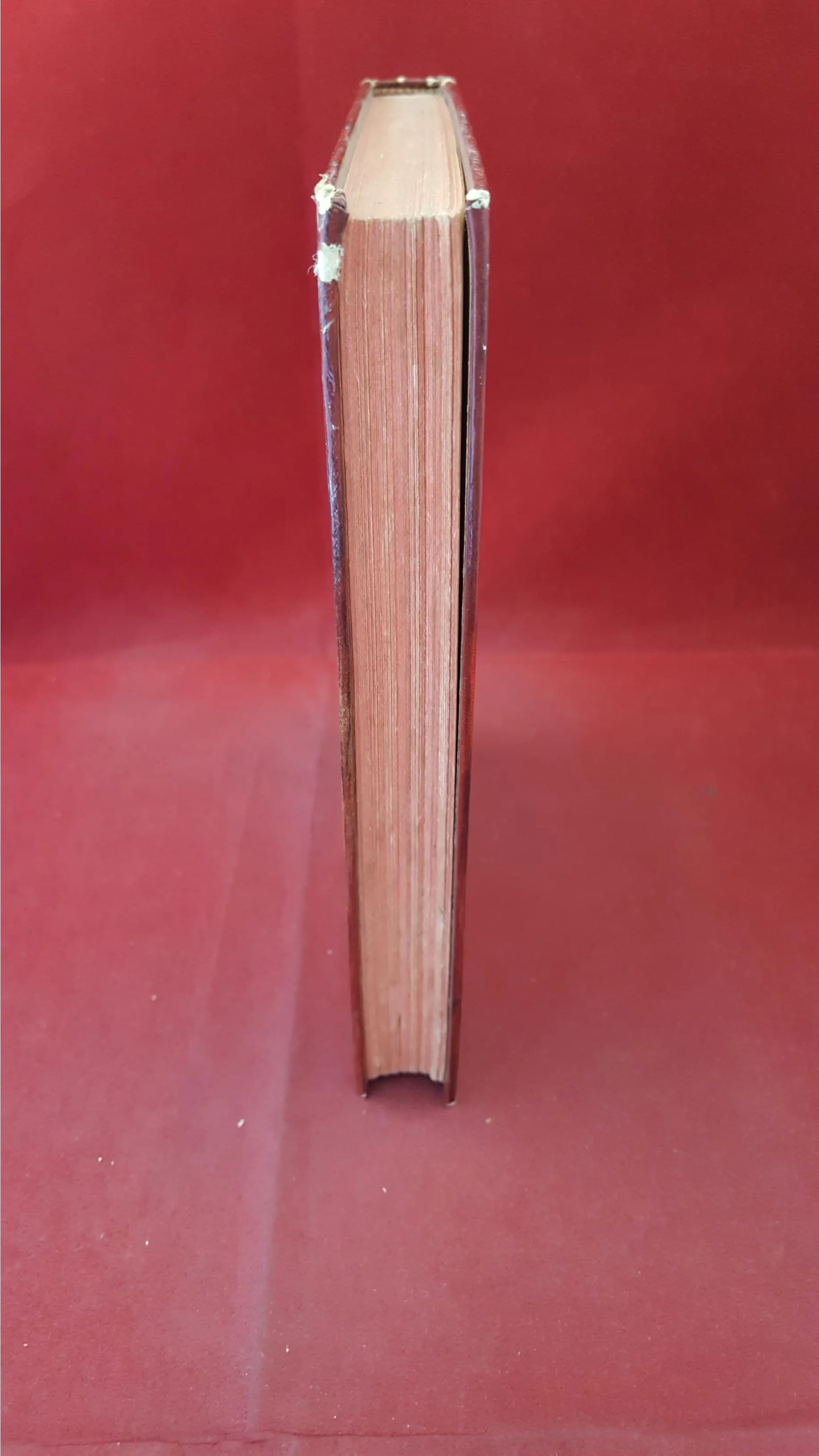 Capwell Wyckoff - The Mercer Boys' Cruise in the Lassie,  Falcon Books, 1948