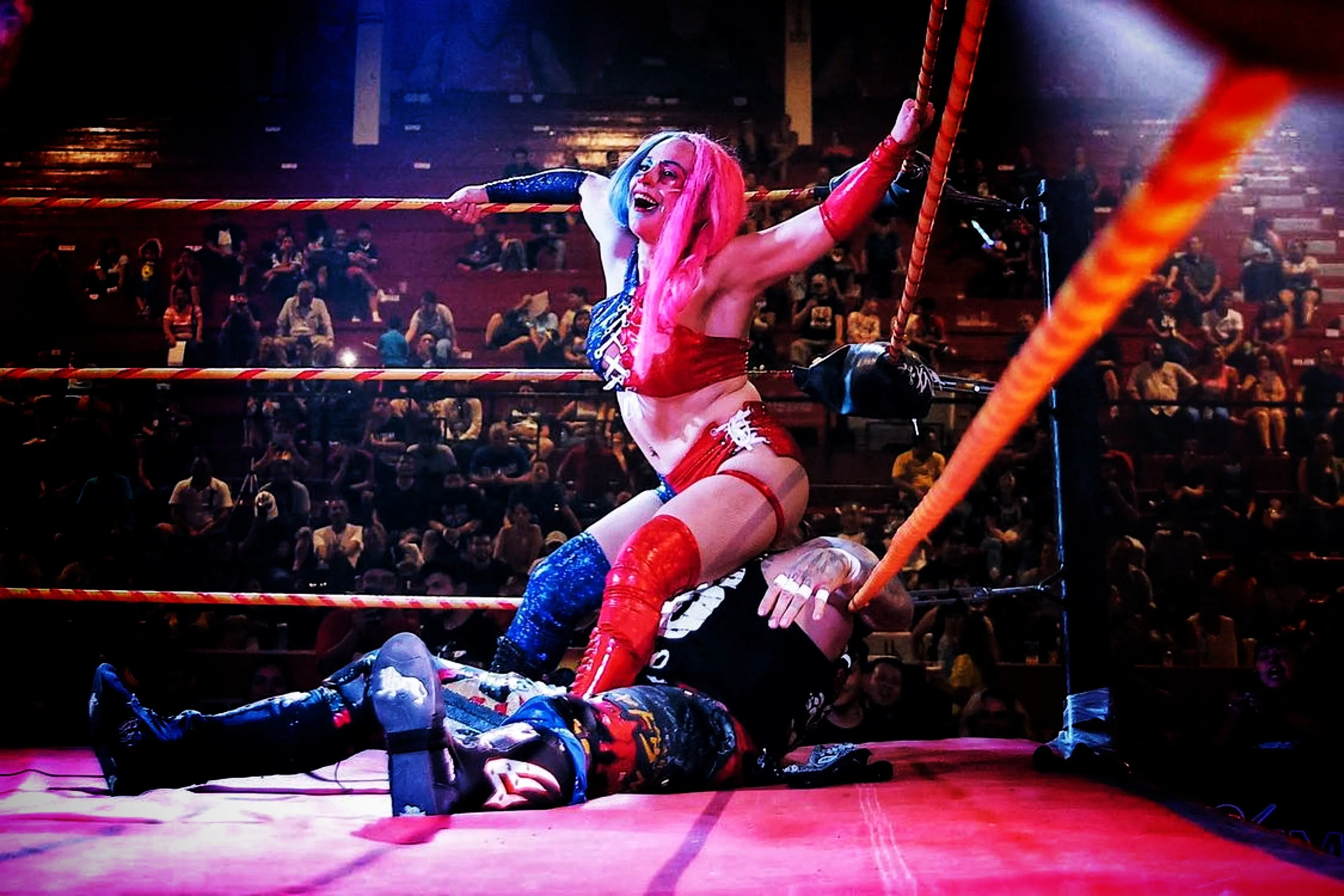 Estrellita "HARLEY QUINN" 9 piece match worn gear.