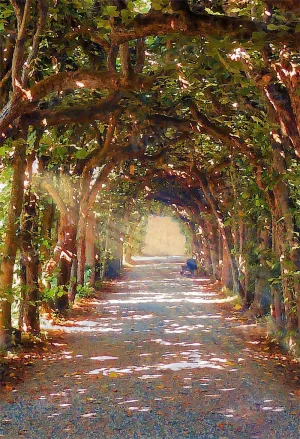 Kate Forest Shaded Path Sunlight Backdrop for Photography