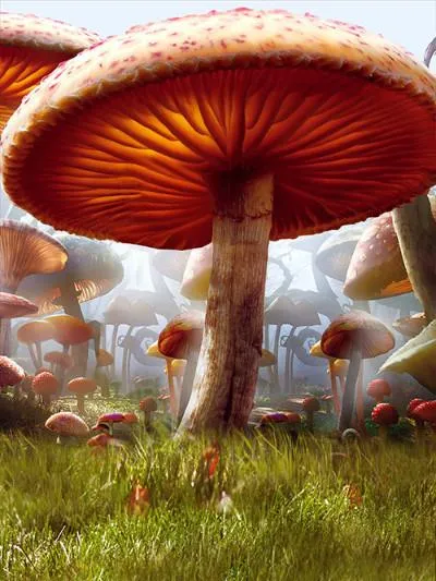Kate Mushrooms Forest Photography Backdrops Fairy Tale