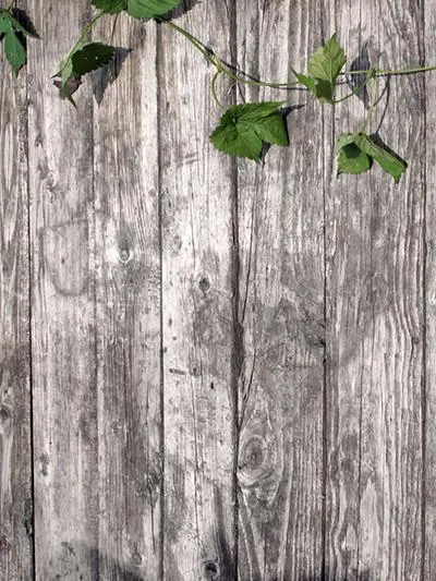 Kate Retro Wood Photography Backdrop Green Leaves Background