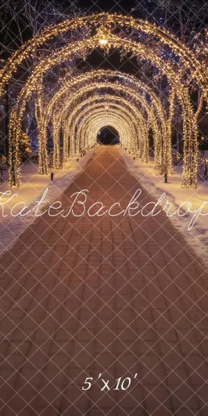 Kate Sweep Christmas Sparkly Lights Arch Tunnel Backdrop Designed by Lidia Redekopp