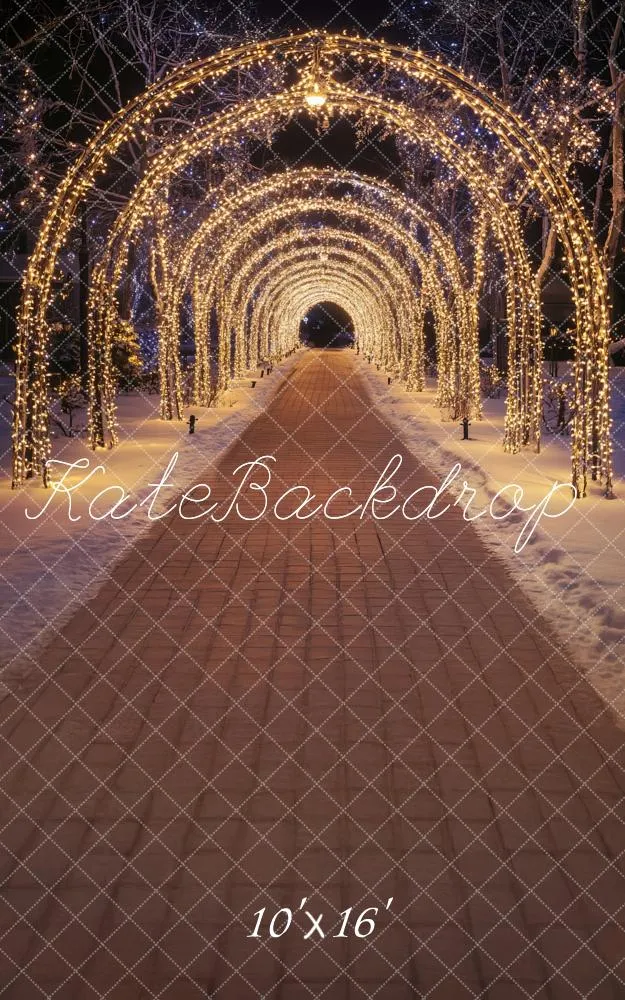 Kate Sweep Christmas Sparkly Lights Arch Tunnel Backdrop Designed by Lidia Redekopp