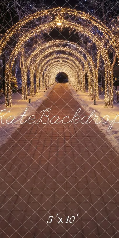 Kate Sweep Christmas Sparkly Lights Arch Tunnel Backdrop Designed by Lidia Redekopp