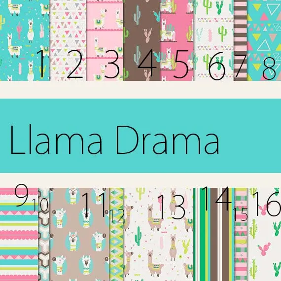 Llama Cacti Heat Transfer Vinyl Sheet