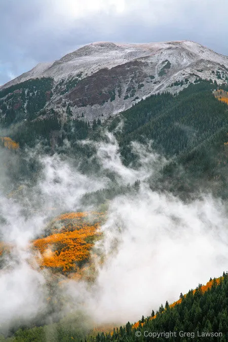 Mountain Gold