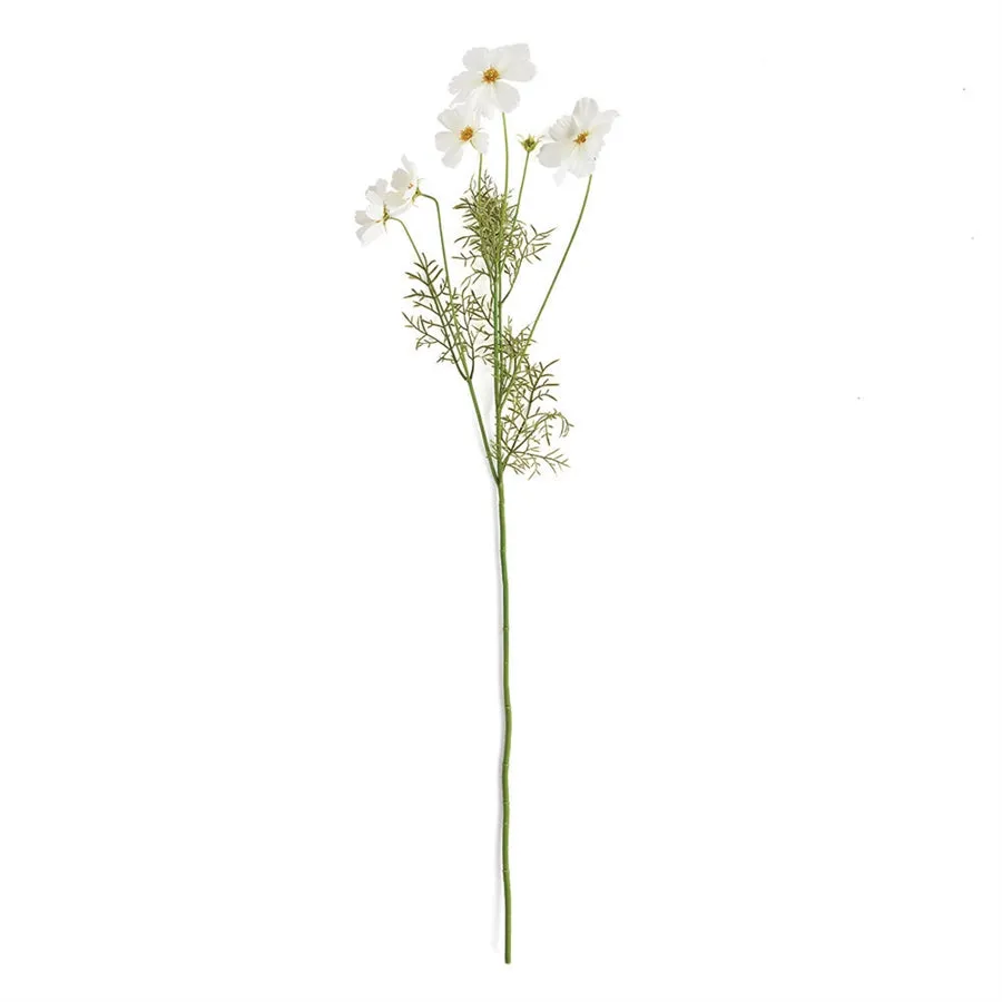 Napa Home Garden, COSMOS 35" STEM,tp200