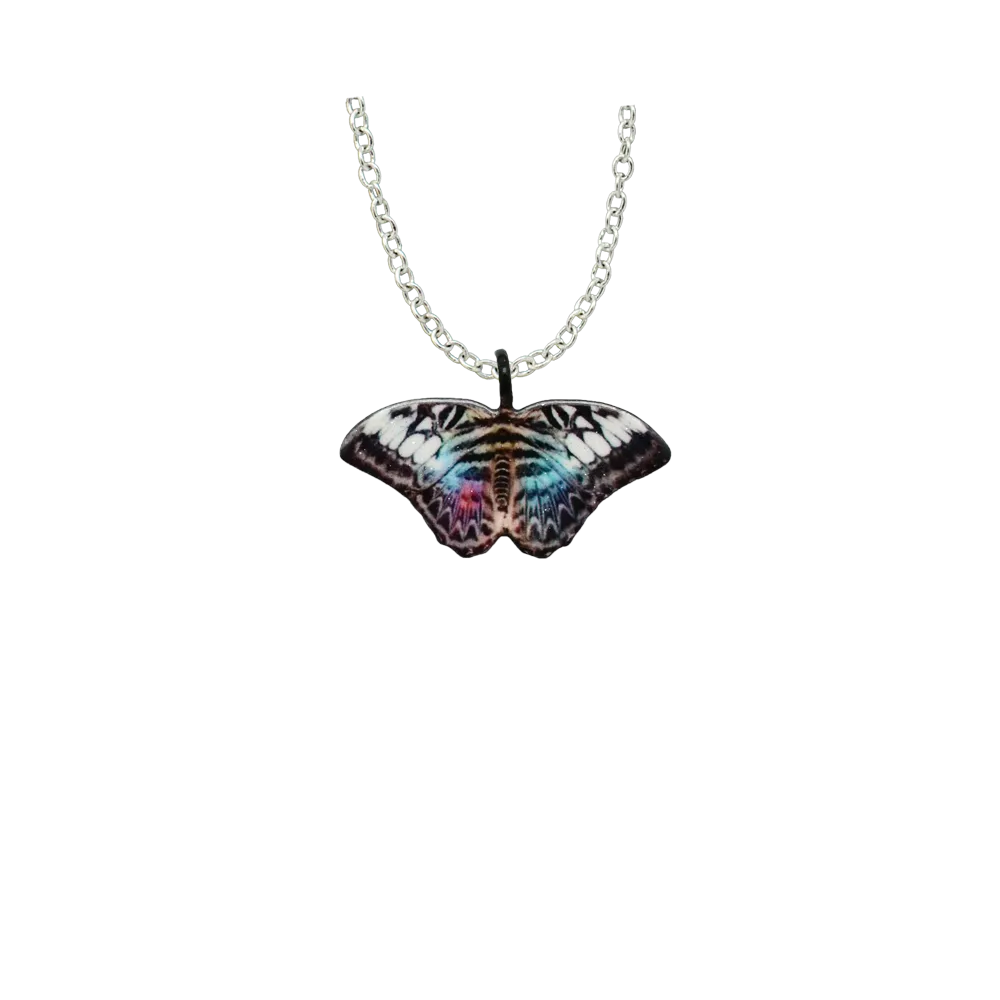Parthenos Sylvia Butterfly