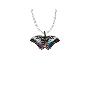 Parthenos Sylvia Butterfly