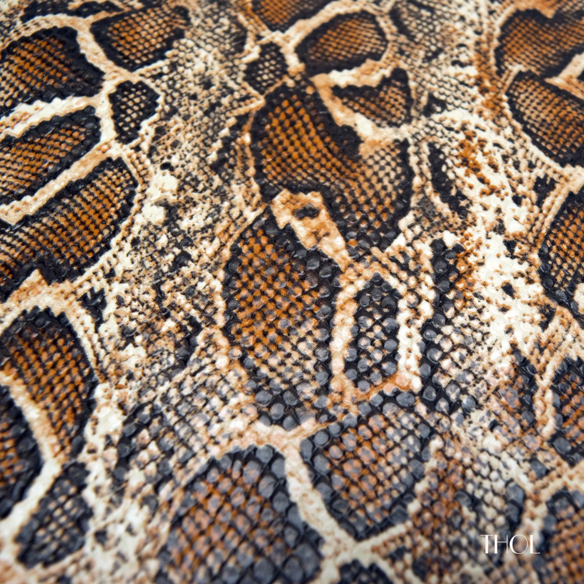 Python on Goat