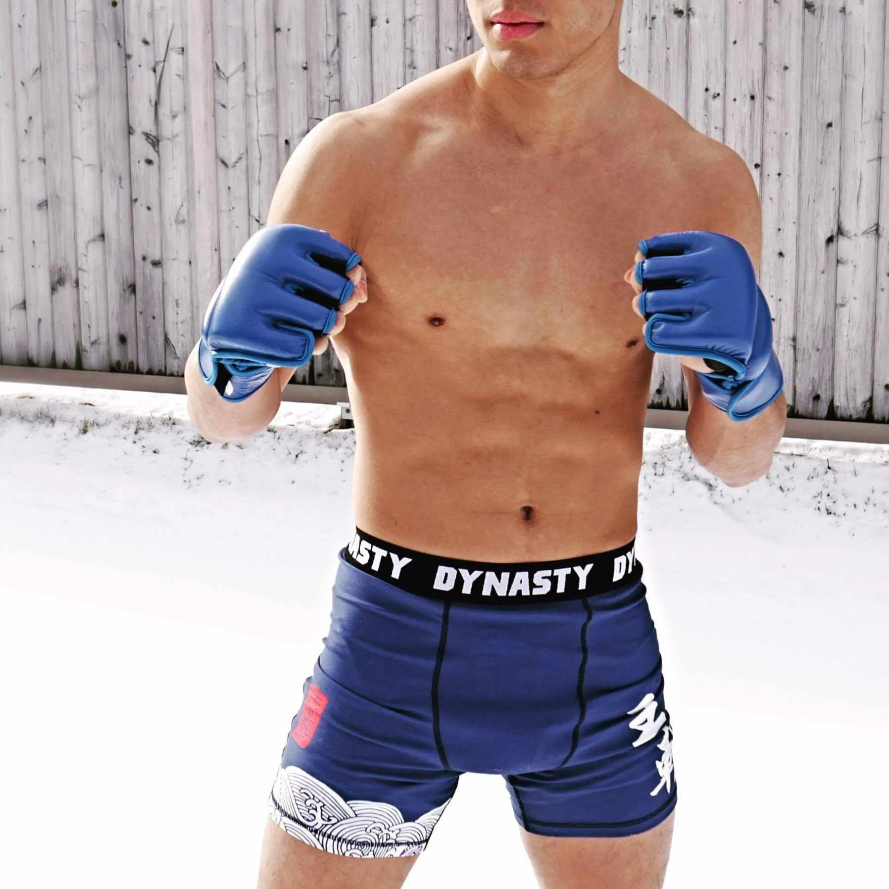 Renaissance (PRIDE) 2.0 MMA Gloves