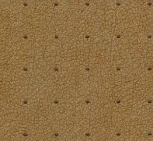 Rivets-Rustic copper