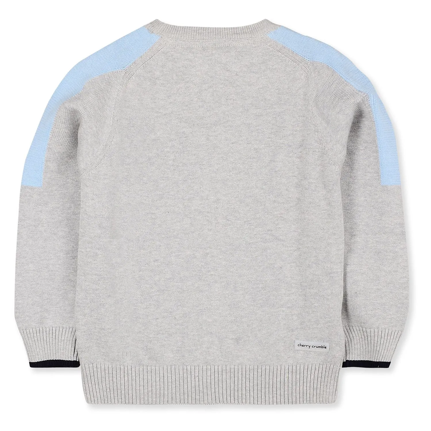 Striking Penguin Sweater