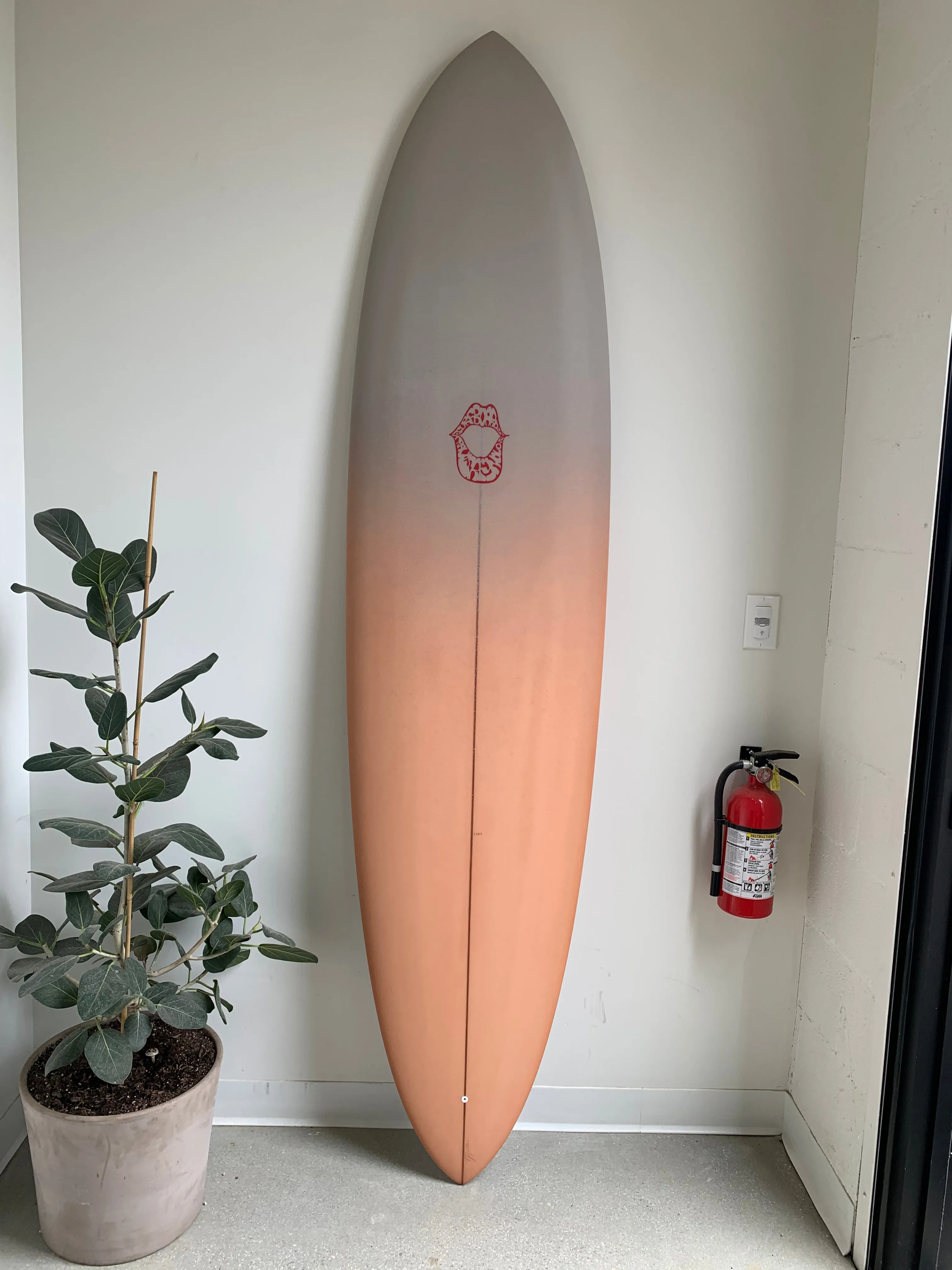 TRAVIS REYNOLDS  STONEFRUIT