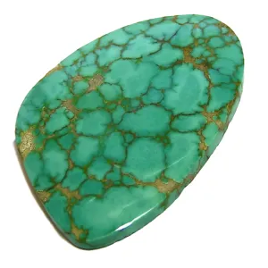 Turquoise Mountain Cab 24.53ct Solid Very Striking Color