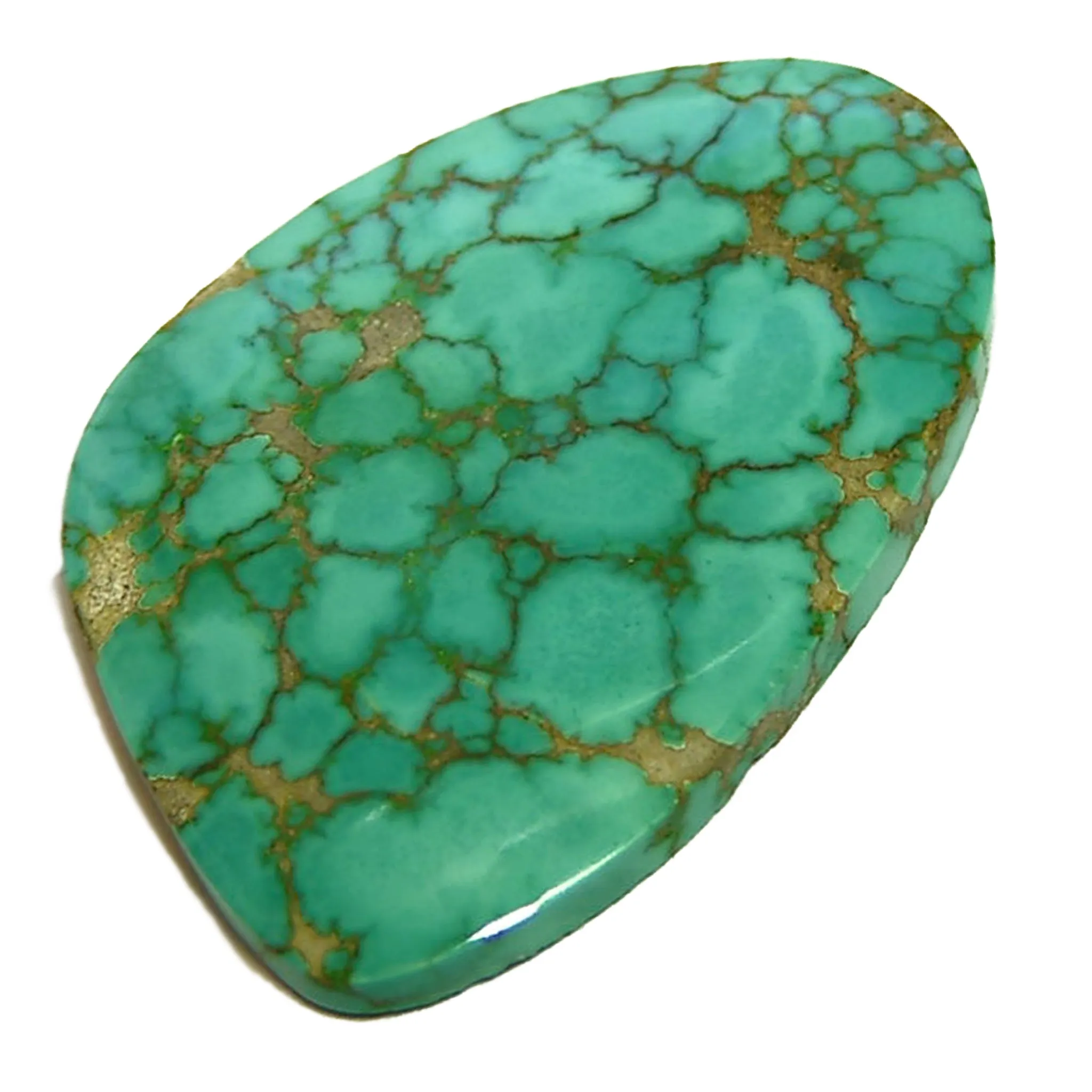 Turquoise Mountain Cab 24.53ct Solid Very Striking Color