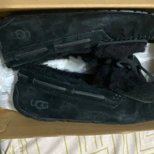 uggs never worn!