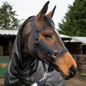 Whitaker Headcollar Bradshaw
